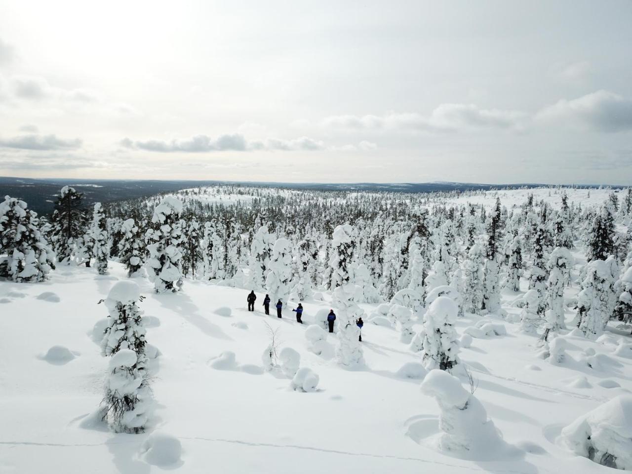 Yllaesrinne